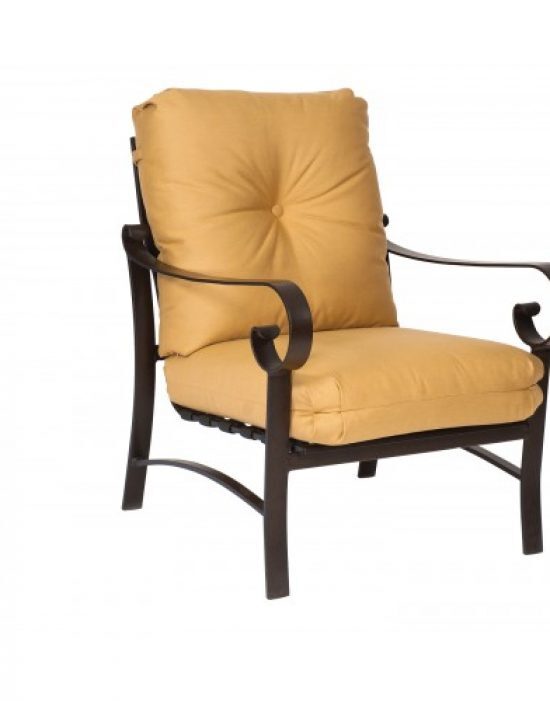 Belden Cushion Stationary Lounge Chair