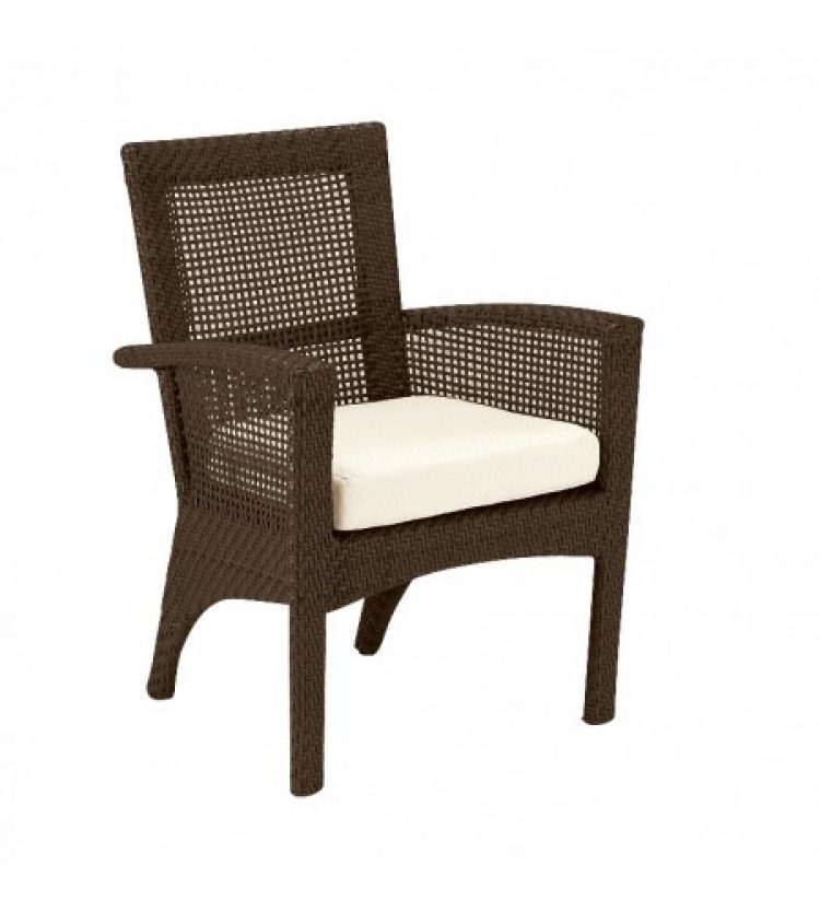 trinidad dining arm chair